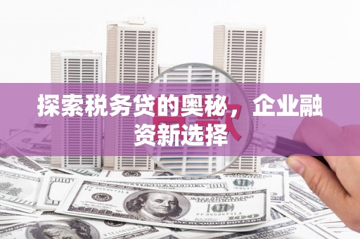 长乐探索税务贷的奥秘，企业融资新选择