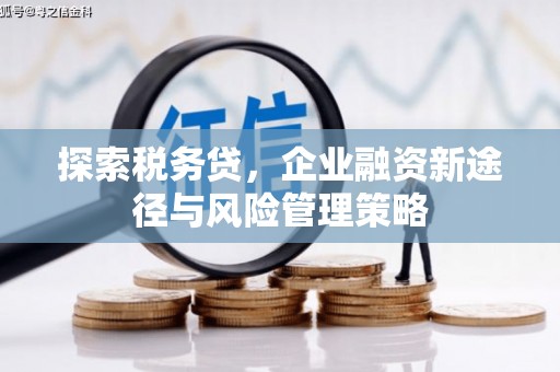 长乐探索税务贷，企业融资新途径与风险管理策略
