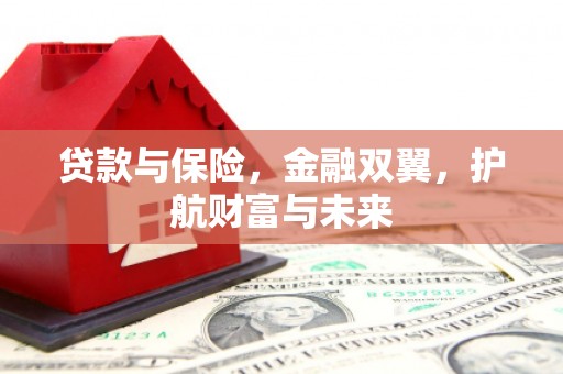 长乐贷款与保险，金融双翼，护航财富与未来