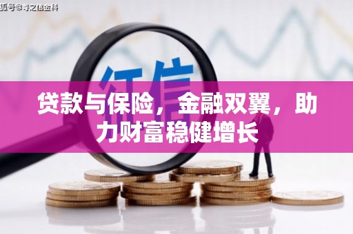 长乐贷款与保险，金融双翼，助力财富稳健增长