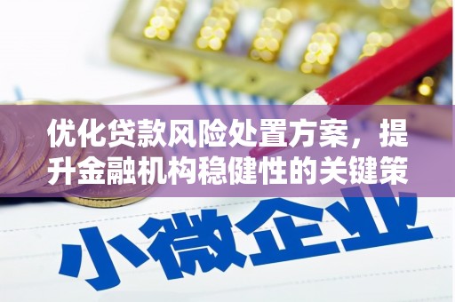长乐优化贷款风险处置方案，提升金融机构稳健性的关键策略