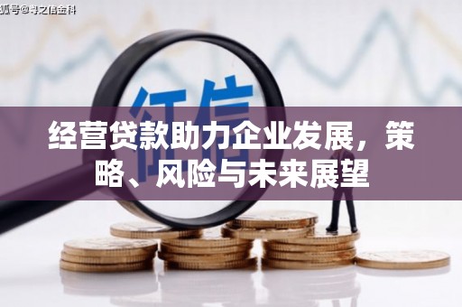 长乐经营贷款助力企业发展，策略、风险与未来展望