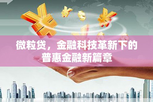 长乐微粒贷，金融科技革新下的普惠金融新篇章
