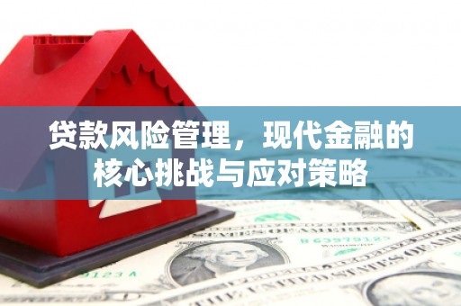长乐贷款风险管理，现代金融的核心挑战与应对策略
