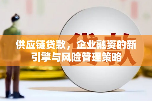长乐供应链贷款，企业融资的新引擎与风险管理策略