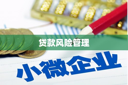 长乐贷款风险管理