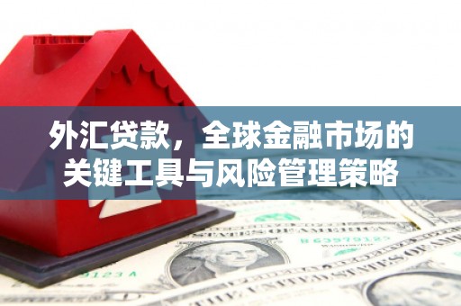长乐外汇贷款，全球金融市场的关键工具与风险管理策略
