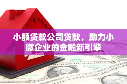 长乐小额贷款公司贷款，助力小微企业的金融新引擎