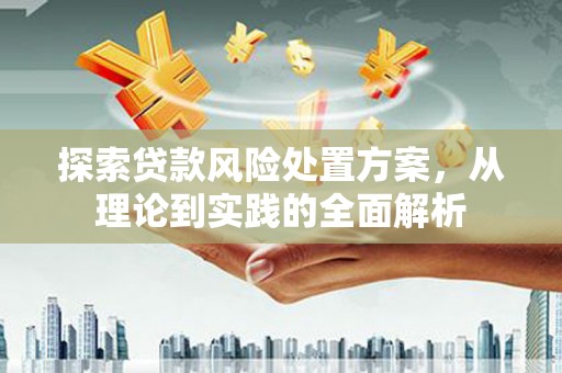 长乐探索贷款风险处置方案，从理论到实践的全面解析