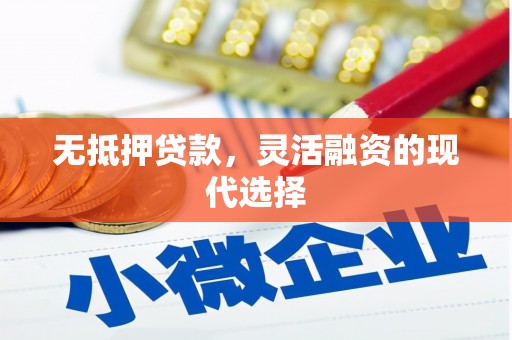 长乐无抵押贷款，灵活融资的现代选择