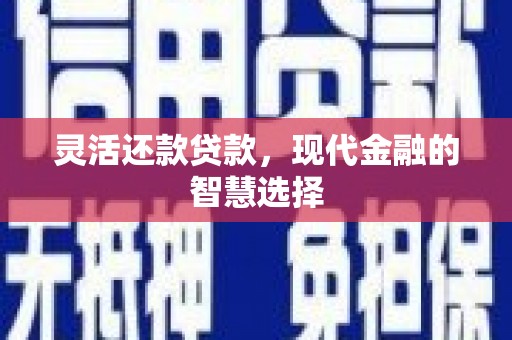 长乐灵活还款贷款，现代金融的智慧选择