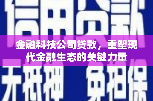 长乐金融科技公司贷款，重塑现代金融生态的关键力量