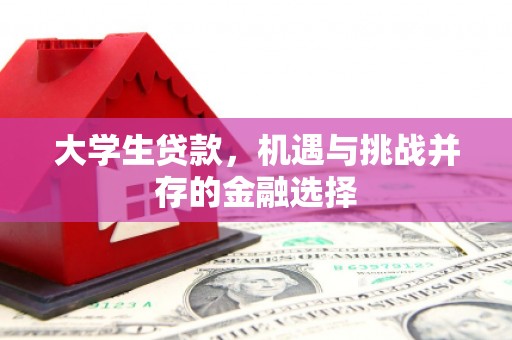 长乐大学生贷款，机遇与挑战并存的金融选择