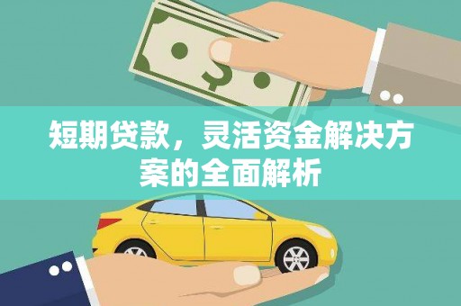 长乐短期贷款，灵活资金解决方案的全面解析