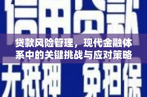 长乐贷款风险管理，现代金融体系中的关键挑战与应对策略