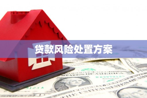 长乐贷款风险处置方案